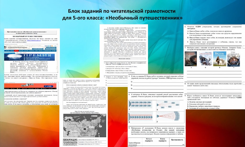 Диагностическая работа по читательской грамотности. Блока заданий по «читательской грамотности».. Задания по читательской грамотности 5 класс. Читательская грамотность 5 класс задания. Необычный путешественник читательская грамотность.