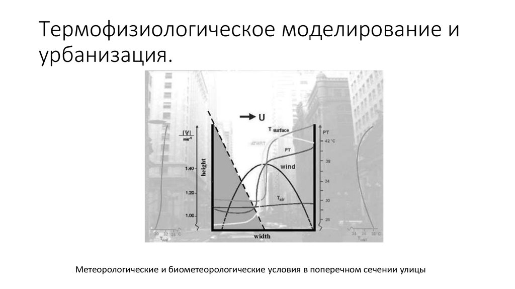 Термофизиологическое моделирование и урбанизация.