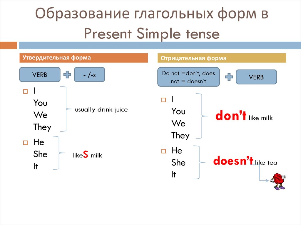 Образование глагольных форм в Present Simple tense