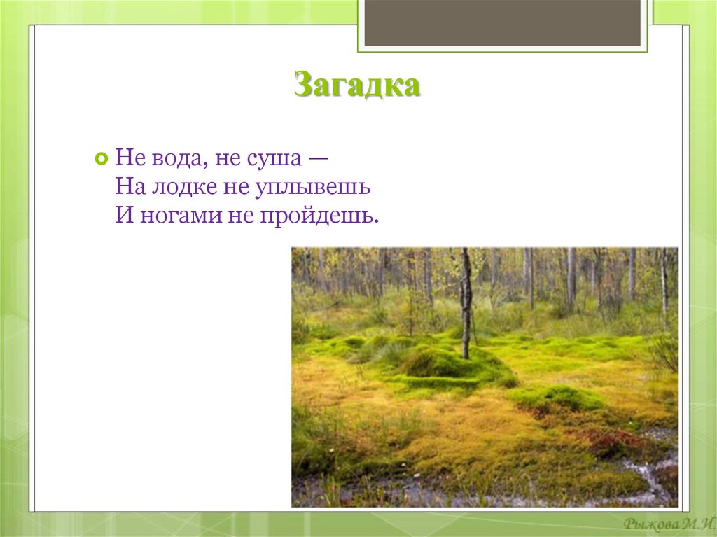 Загадка прошел. Загадки про болото. Загадки на тему болото. Загадка про болото для детей. Загадки о болоте.