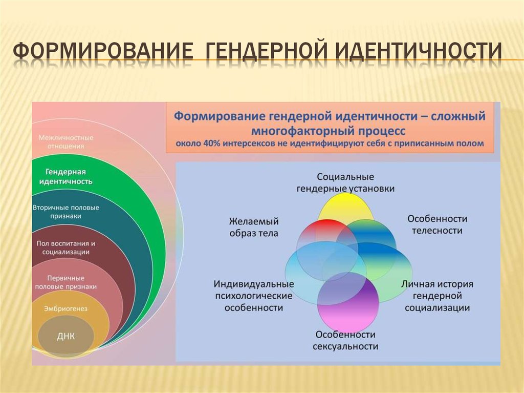 Теория гендерных схем