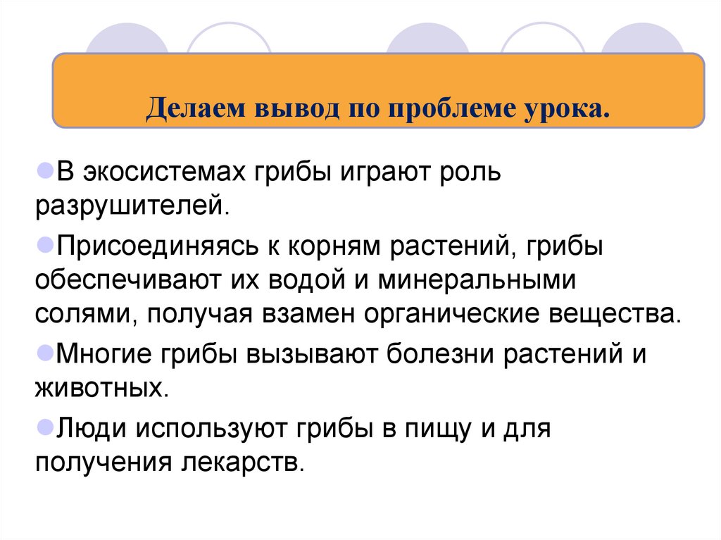 Сделайте вывод какова. Роль грибов в экосистеме. Значение грибов в экосистеме. Грибы роль в экосистеме. Какова роль грибов в экосистеме.