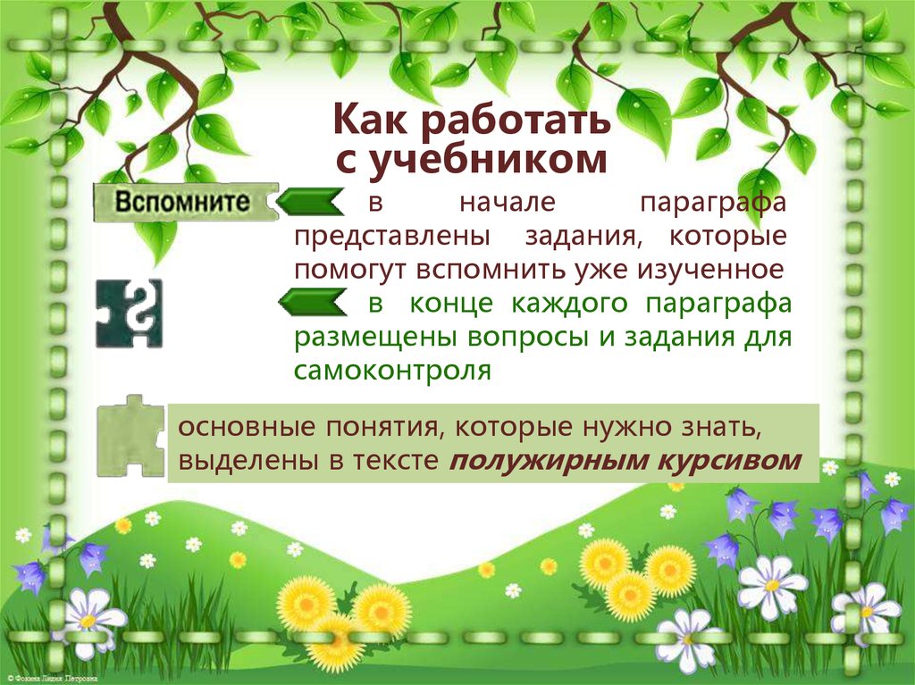 В начале параграфа. Царство растения. Внешнее строение и. Царство растения внешнее строение и общая характеристика растений. Общая характеристика растений 6 класс. Внешнее строение и общая характеристика растений.