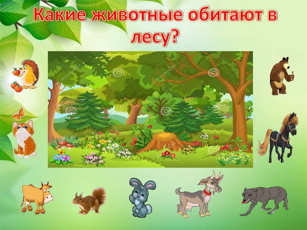 Какие животные обитают в лесу?