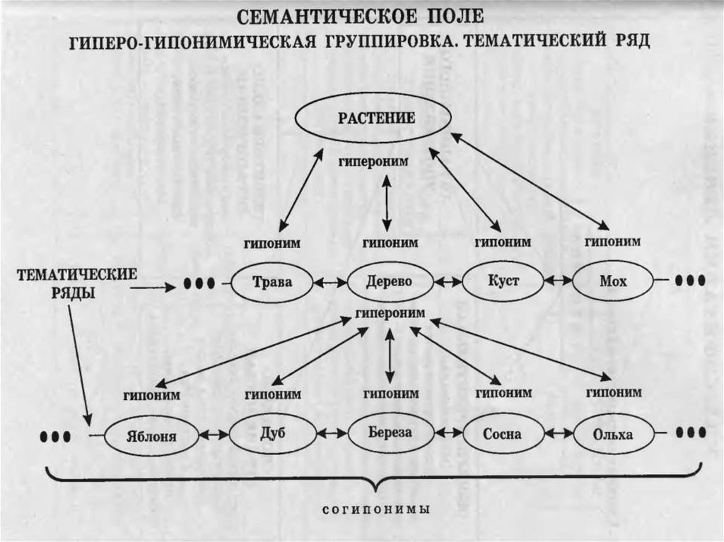 Лексико семантическая схема это