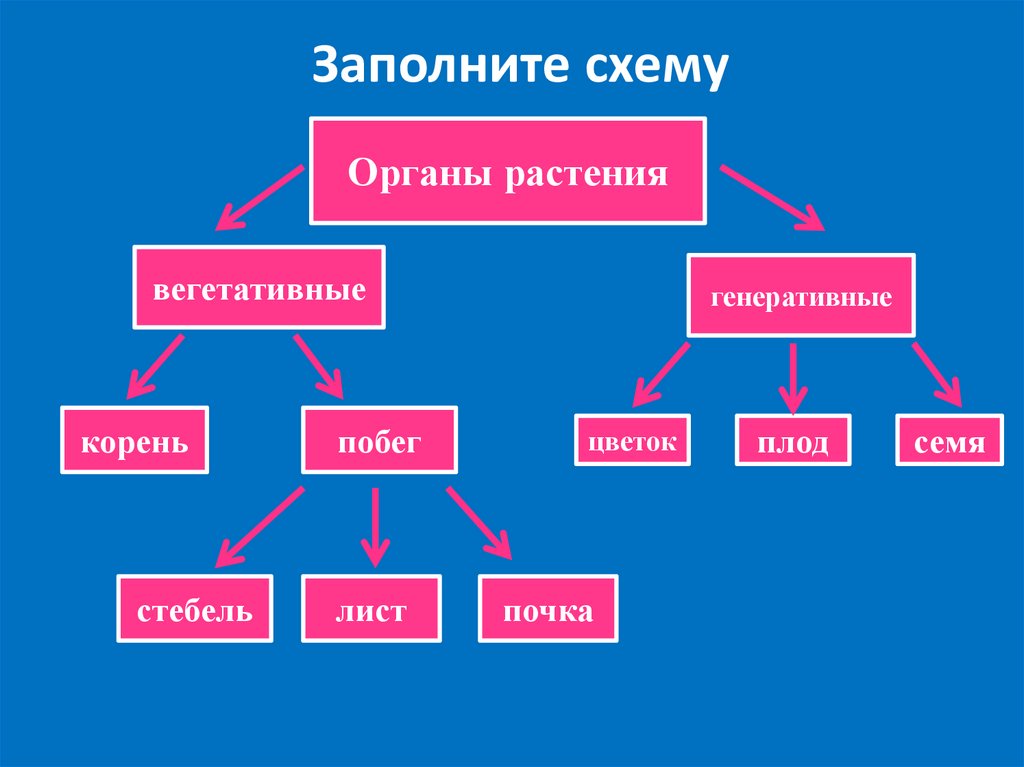 Заполните схему отражающую систему управления страной которая сложилась после подписания николаем 2