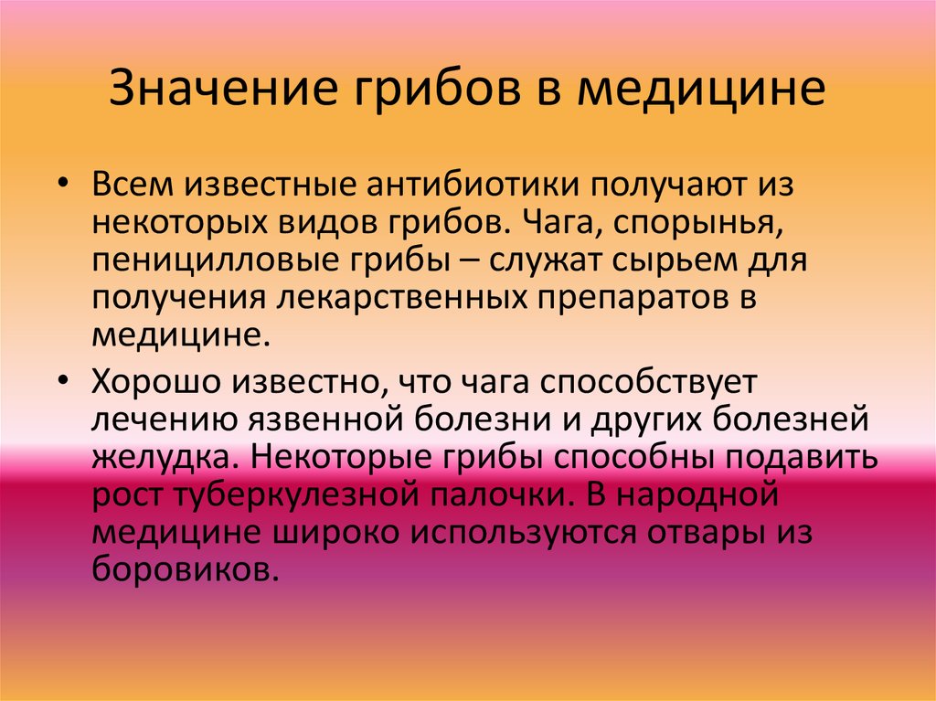 Презентация грибы в медицине