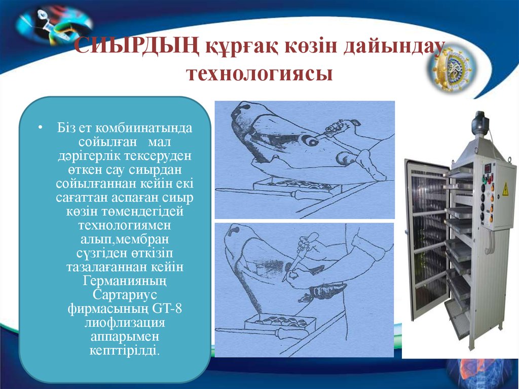 СИЫРДЫҢ құрғақ көзін дайындау технологиясы