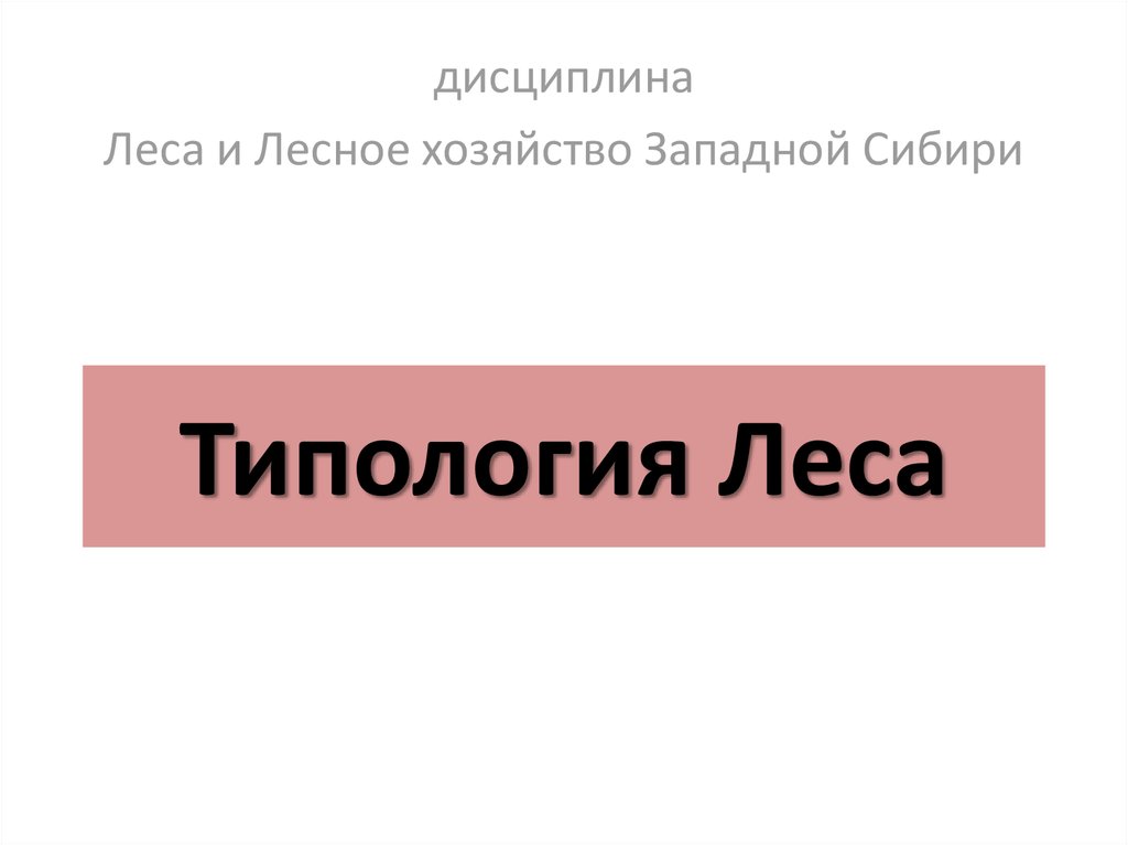 Типология леса презентация