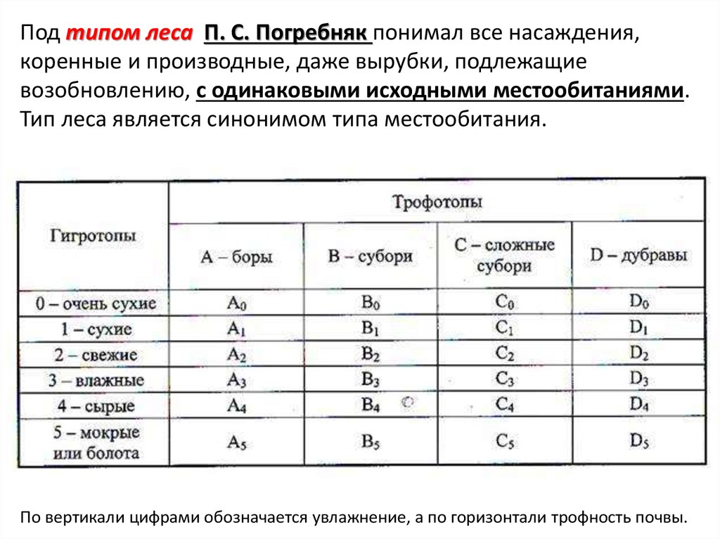 Типология леса презентация