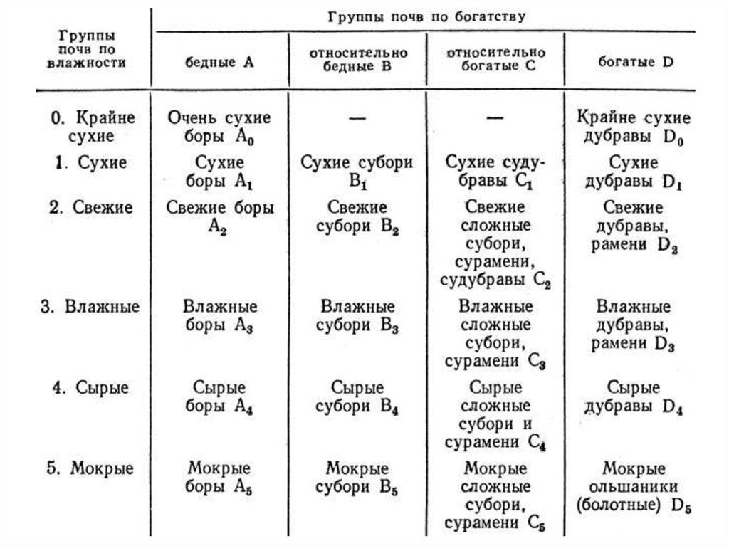 Тип условий. Лесная типология Погребняка. Таблица классификация типов леса п. с. Погребняка. Классификация типов леса по Погребняку. Тип леса и Тип лесорастительных условий таблица.