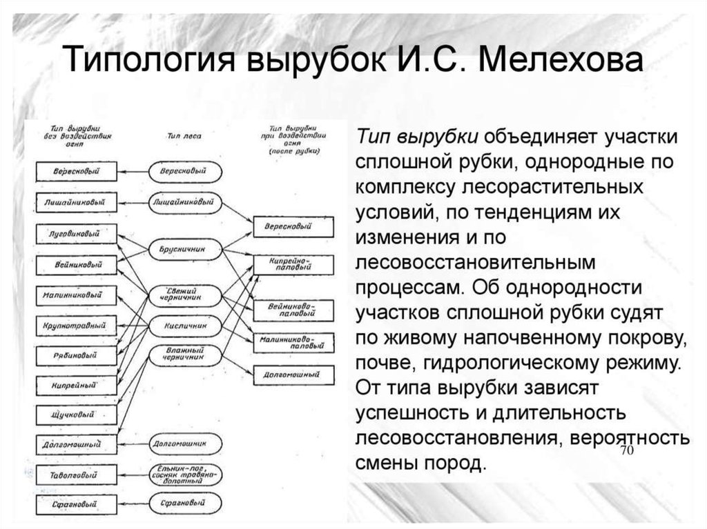 Типы рубок. Типология вырубок и.с Мелехова. Схему зависимости типов вырубок от типов леса. Тип вырубки по Мелехову. Мелехов типы вырубок.