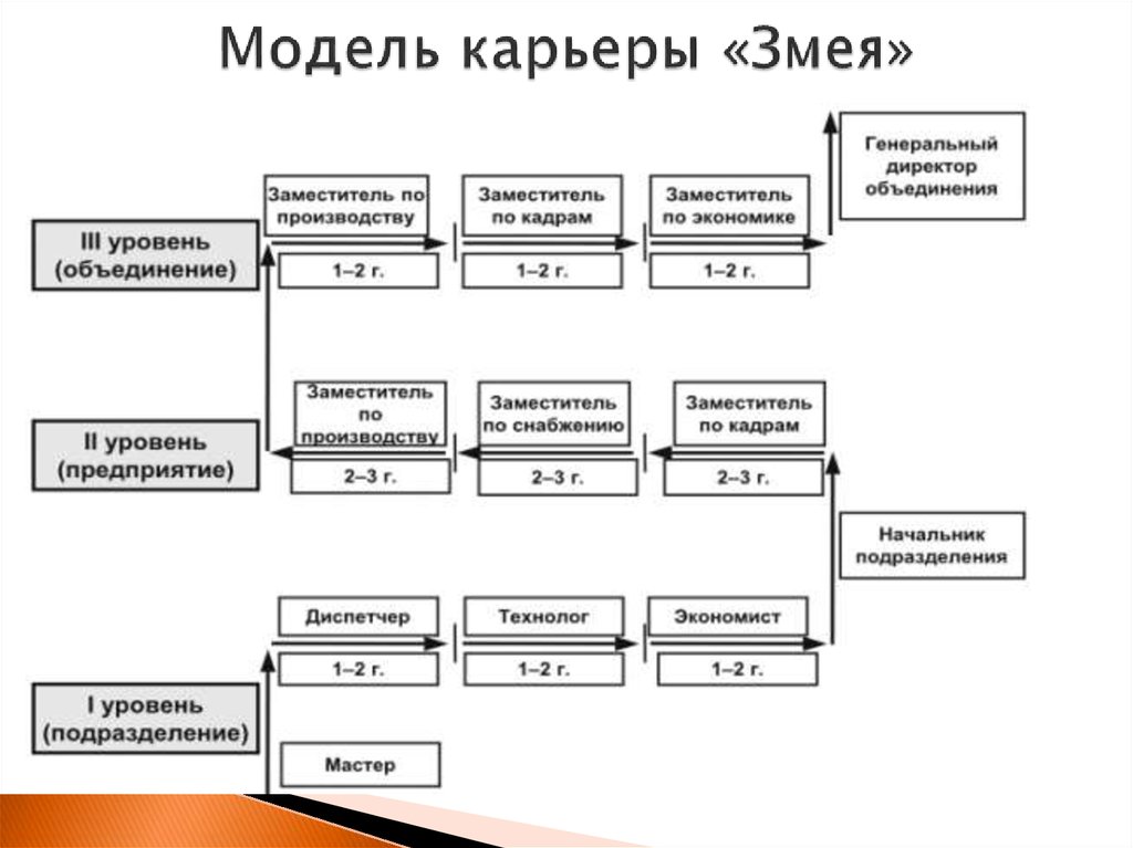 Модели карьеры. Модель служебной карьеры змея. Типовые модели карьеры трамплин лестница змея перепутье. Начертить схему типовой модели построения карьеры «змея».. Карьера змея схема.