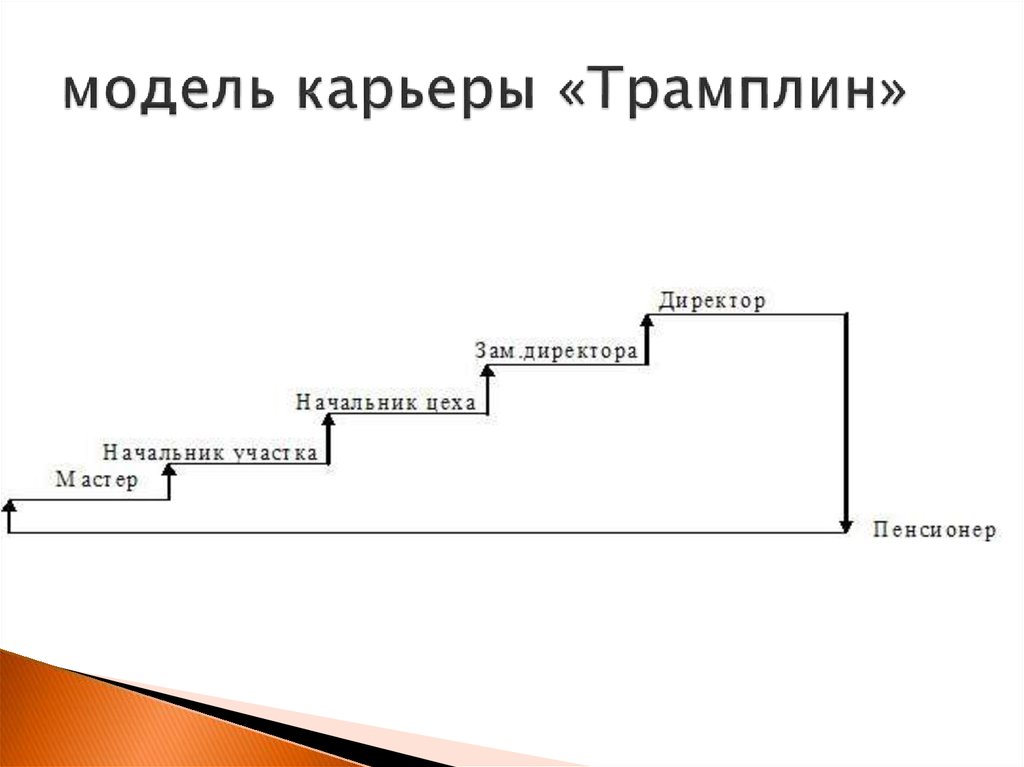 Виды деловой карьеры схема