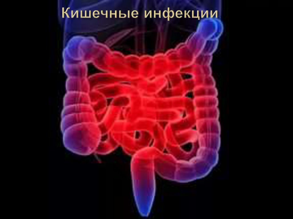 Кишечные инфекции