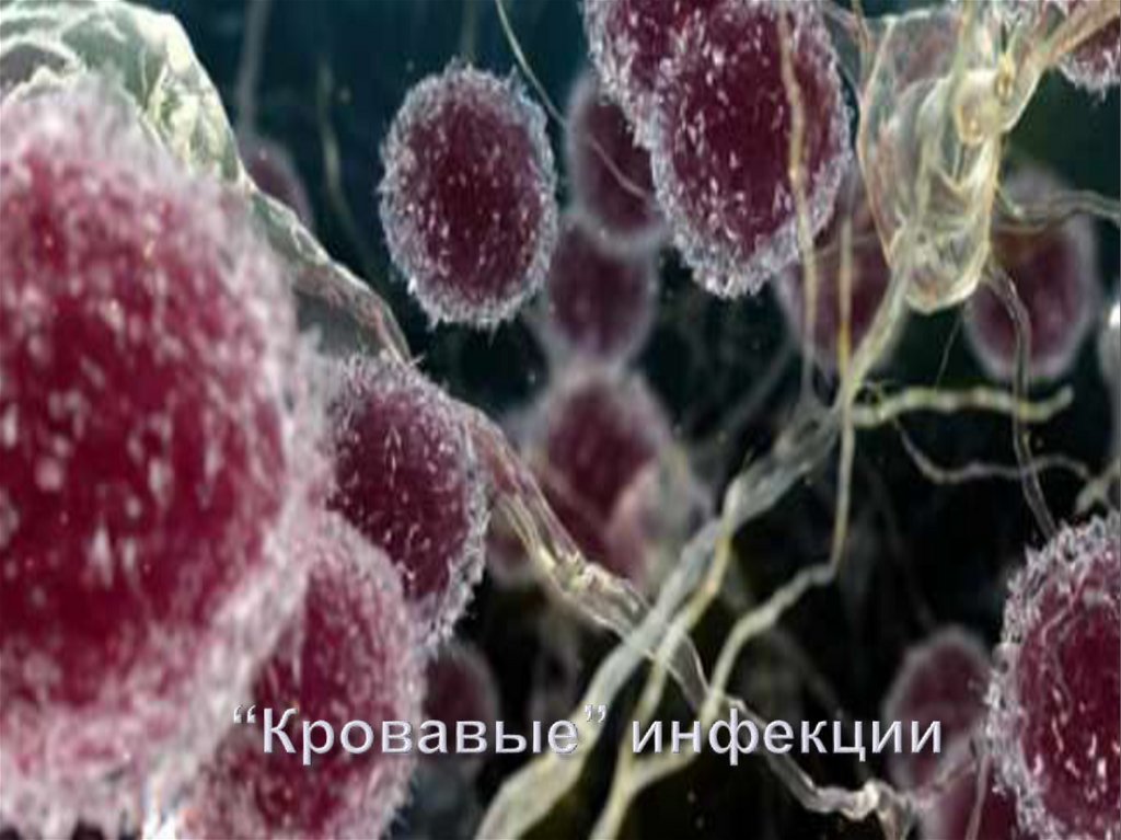 тема инфекционные заболевания