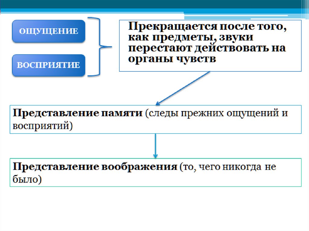 Особенности внд познавательные процессы презентация 8 класс