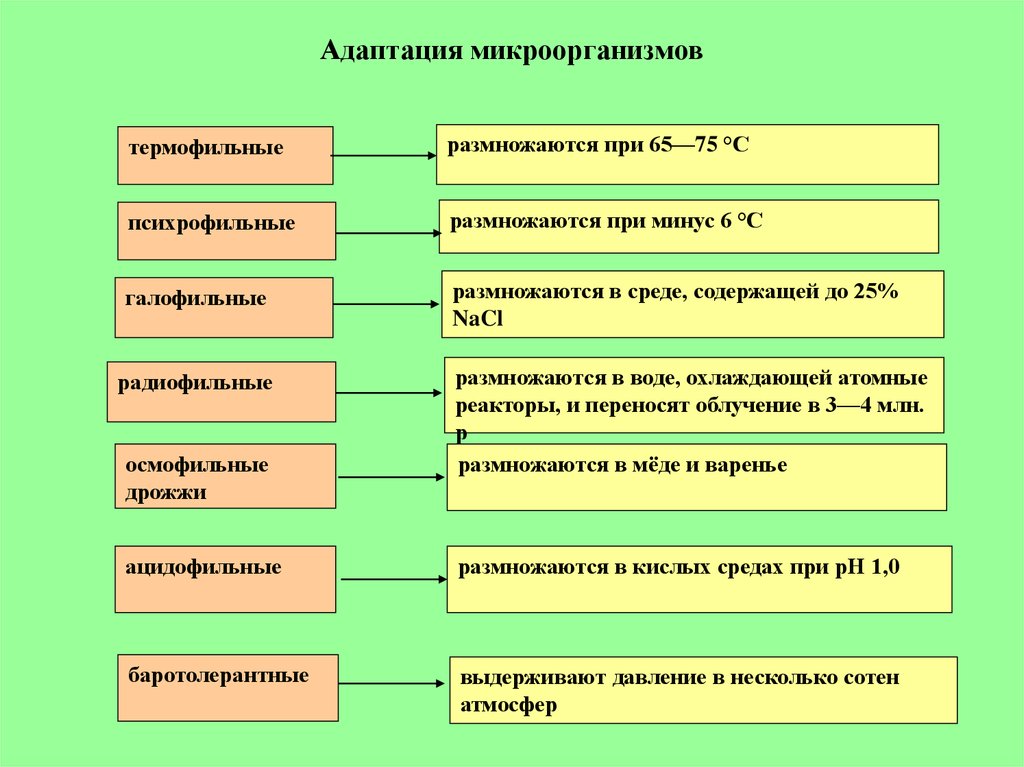 Адаптация микроорганизмов. Адаптация бактерий. Примеры адаптации микроорганизмов. Адаптация бактерий примеры.