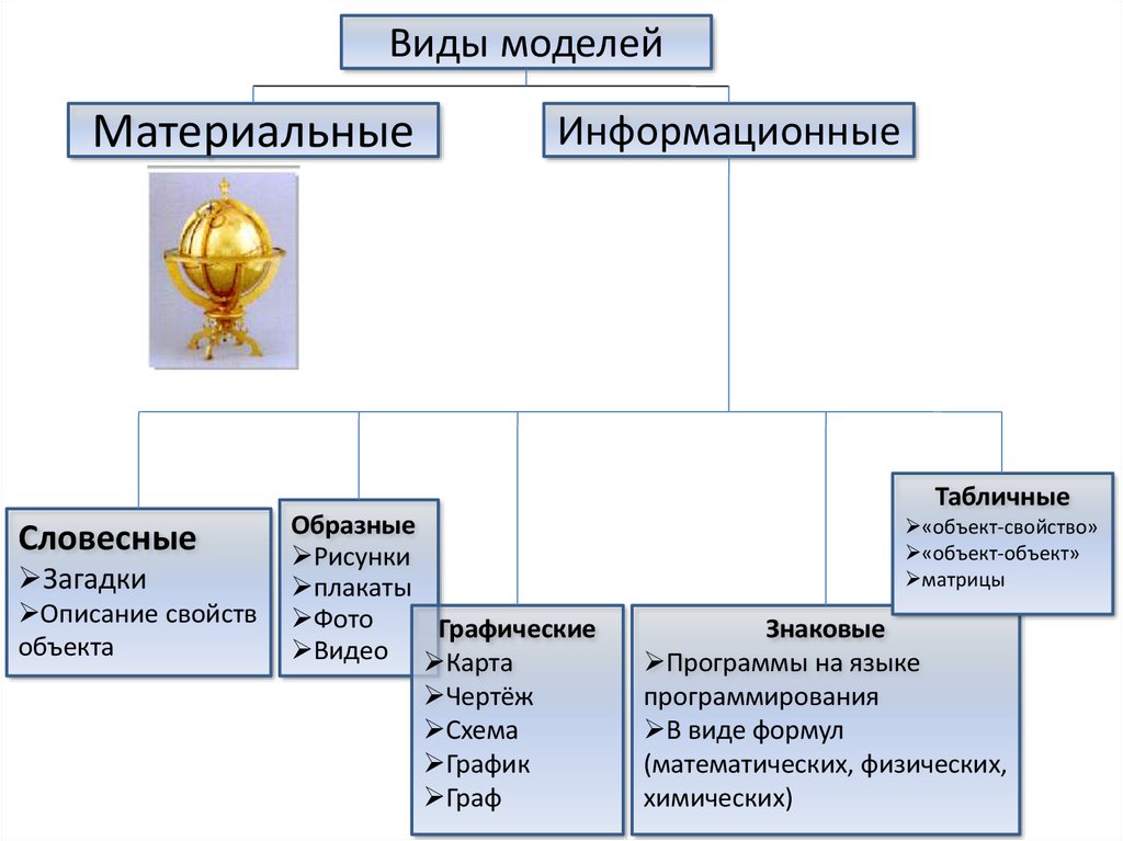 Модели и виды моделей