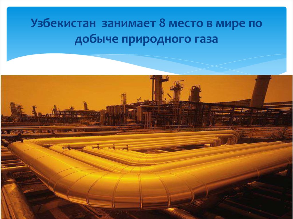 Узбекистан занимает 8 место в мире по добыче природного газа