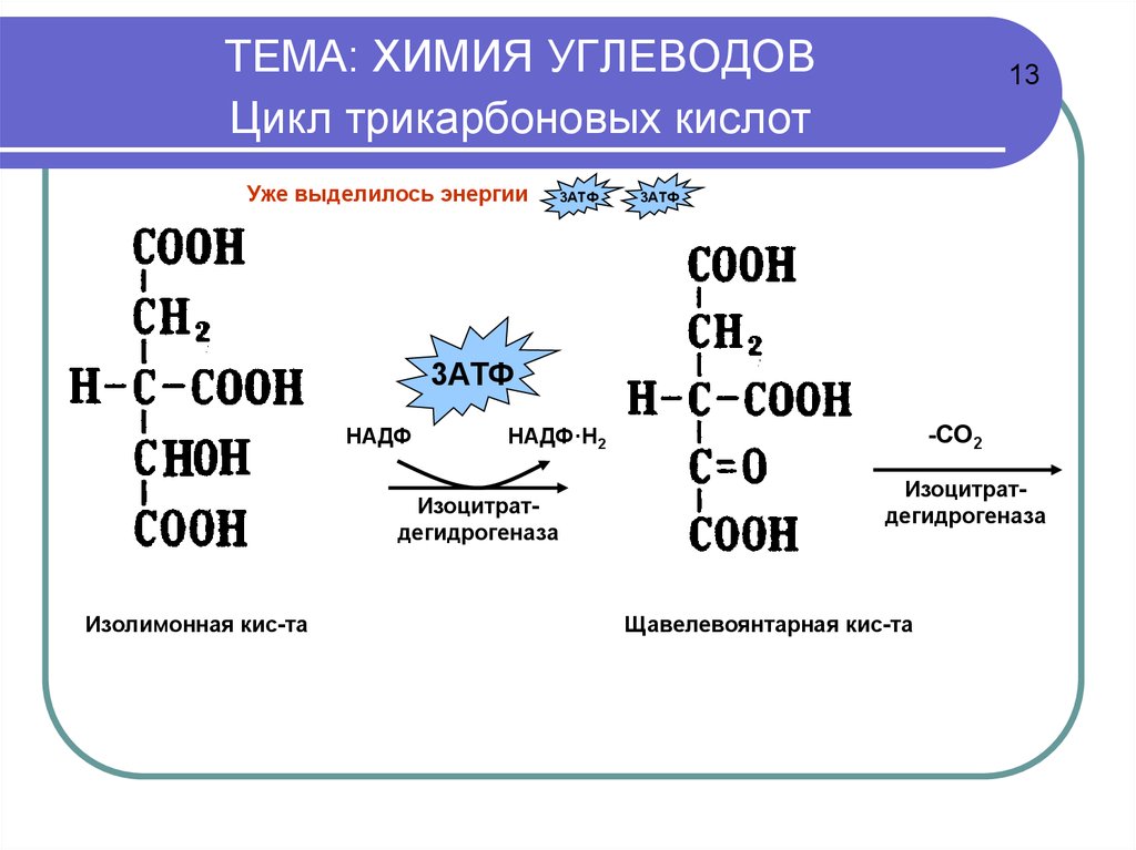 Углеводы химия презентация