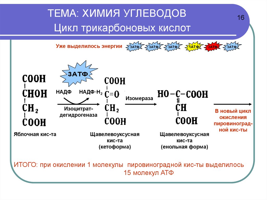 Примеры углеводов. Общая формула углеводов химия 9 класс. Углеводы химия презентация. Простые и сложные углеводы химия. Углерод химия.