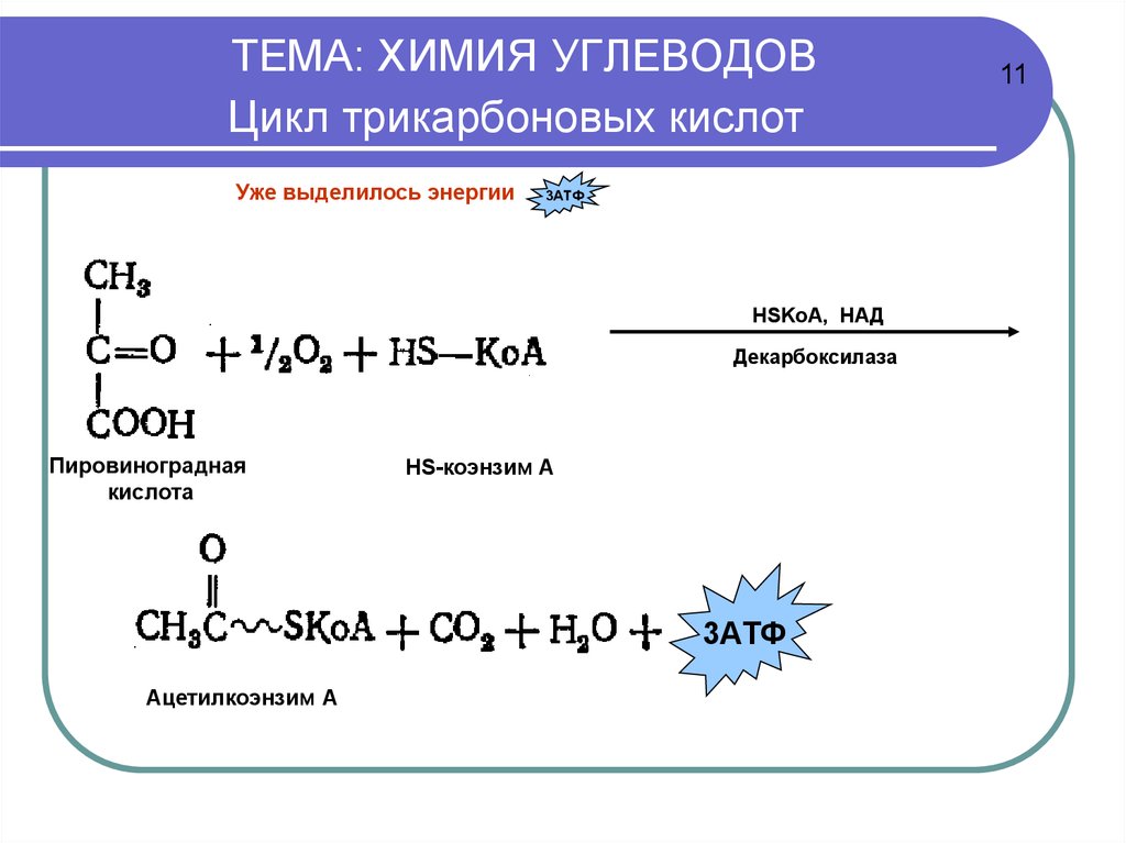 Углеводы химия. Углерод химия. Химия темы. Цикл углеводов.