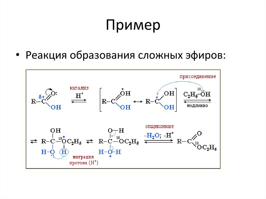 Реакции образования связи с с. Нуклеофильный катализ. Реакция образования над. Теории химической кинетики. Реакция образования тре-трнктре.