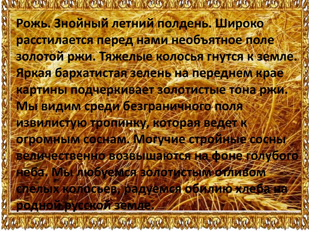 Сочинение по картине рожь. Сочинение рожь. Сочинение на тему рожь. Сочинение на картину рожь.