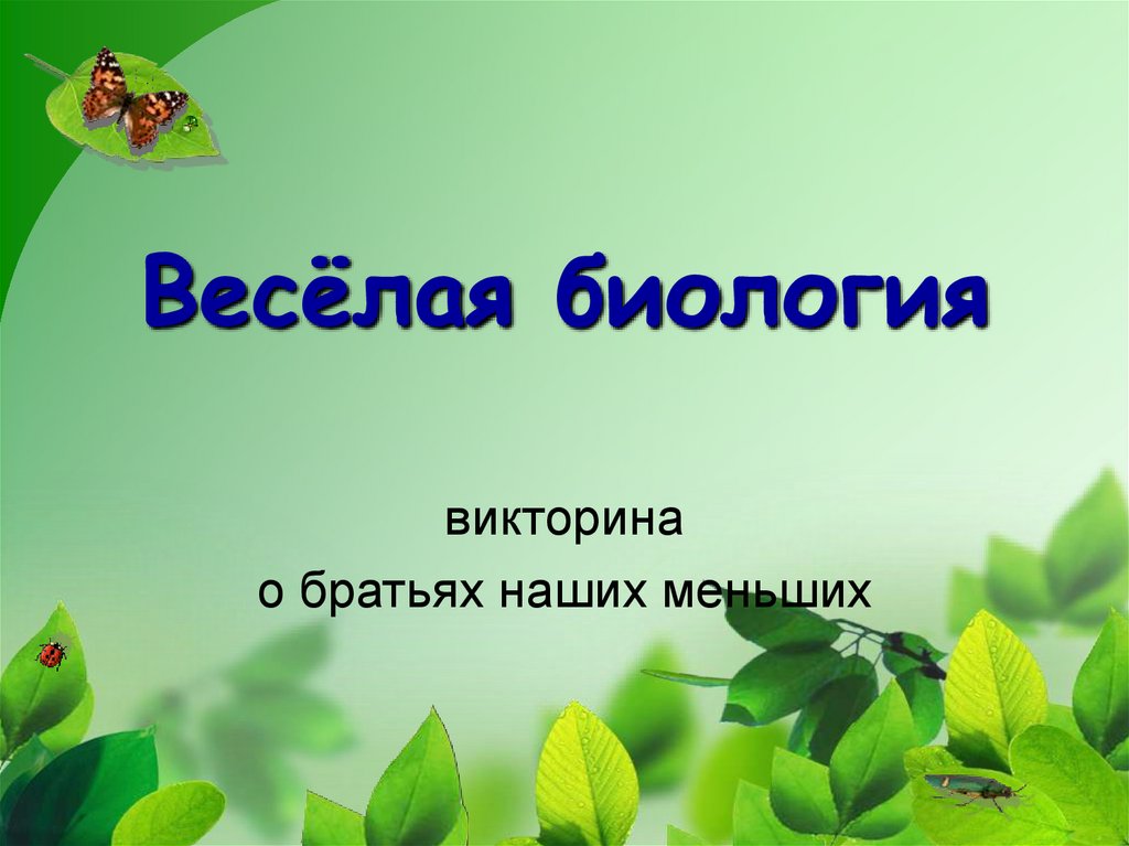 Про биологию 5 класс. Веселая биология. Викторина по биологии. Биология презентация. Викторина по биологии презентация.