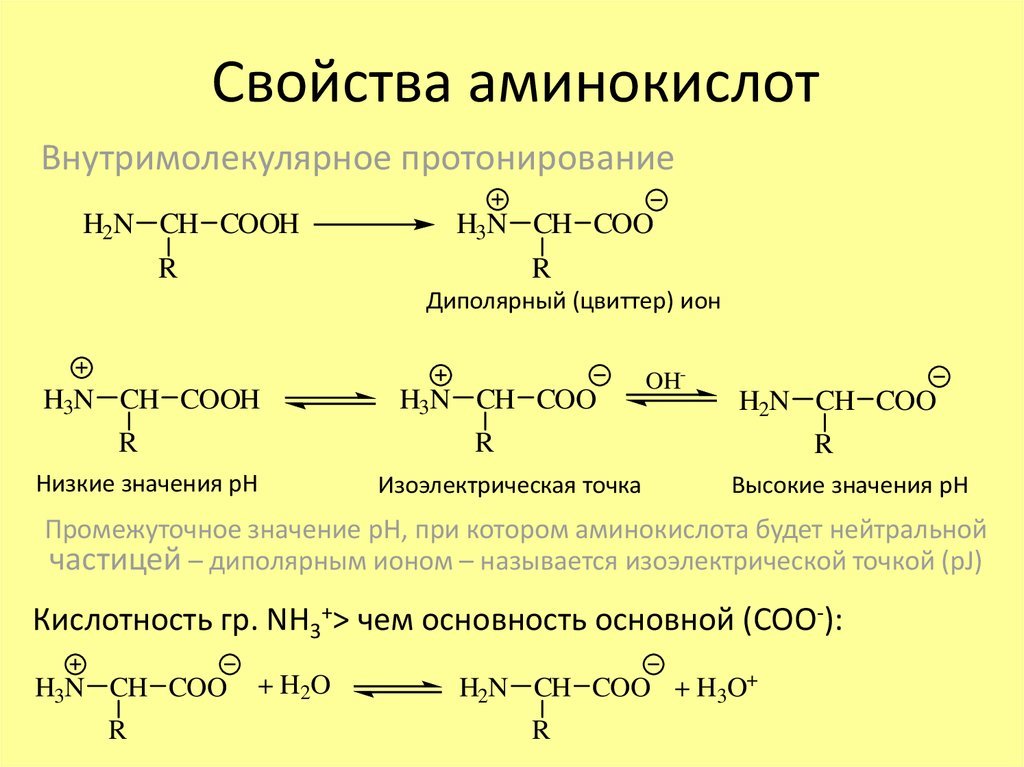 Аминокислоты химические соединения. Физические свойства аминокислот аминокислот. Химические свойства аминокислот кислотные. Основные св ва аминокислот. Химические свойства α-аминокислот.