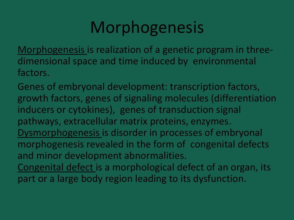 Морфогенезис. The role of Heredity.