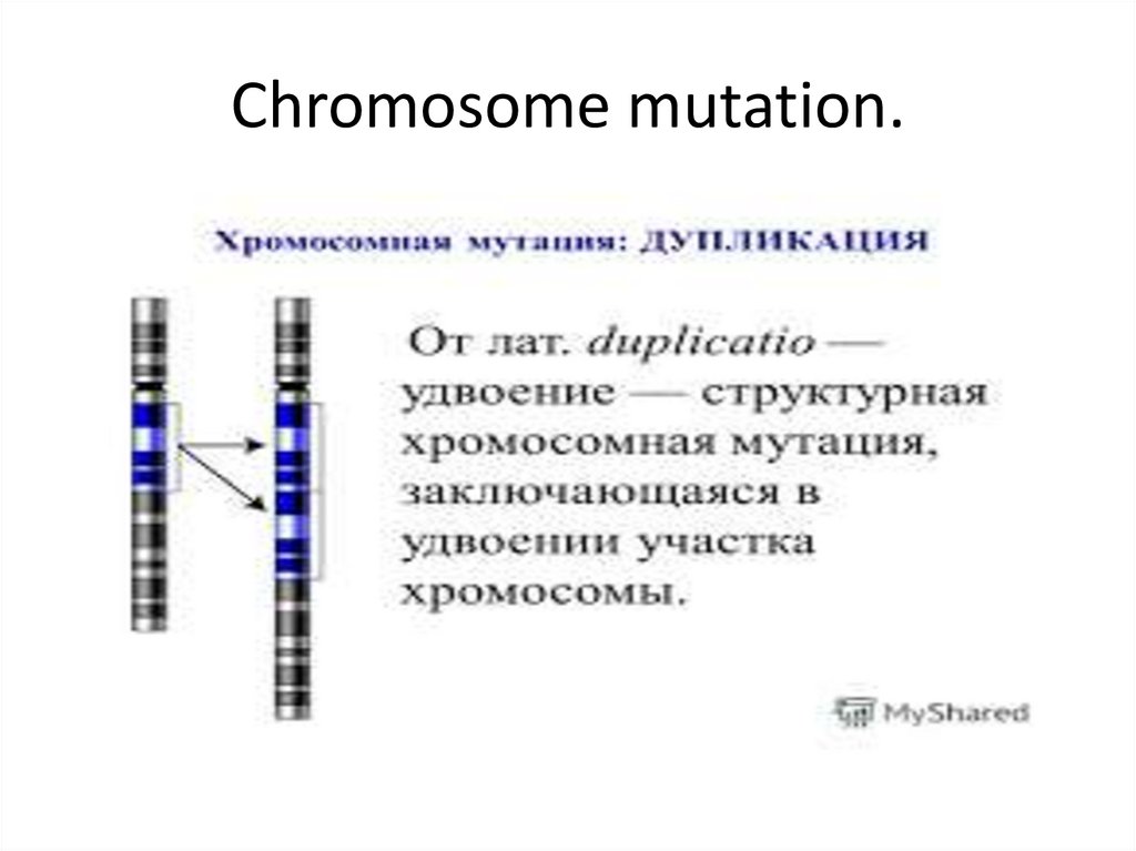 Удвоение участка хромосомы это. Делеция хромосомы мутация. Кольцевая хромосома. Кольцевая хромосома мутация. Мутация филадельфийской хромосомы.