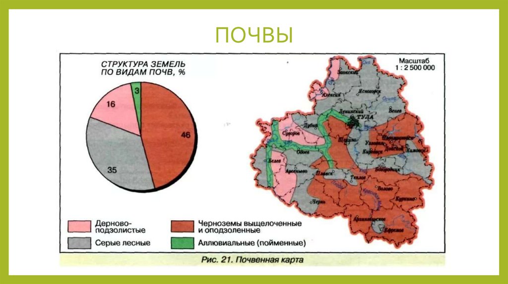 Преобладающий вид. Карта почв Тульской области. Почвы Тульской области почвенная карта. Типы почв Тульской области на карте. Карта грунта Тульской области.