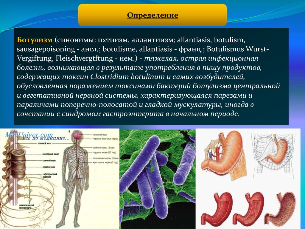 В основе клинической картины ботулизма лежит