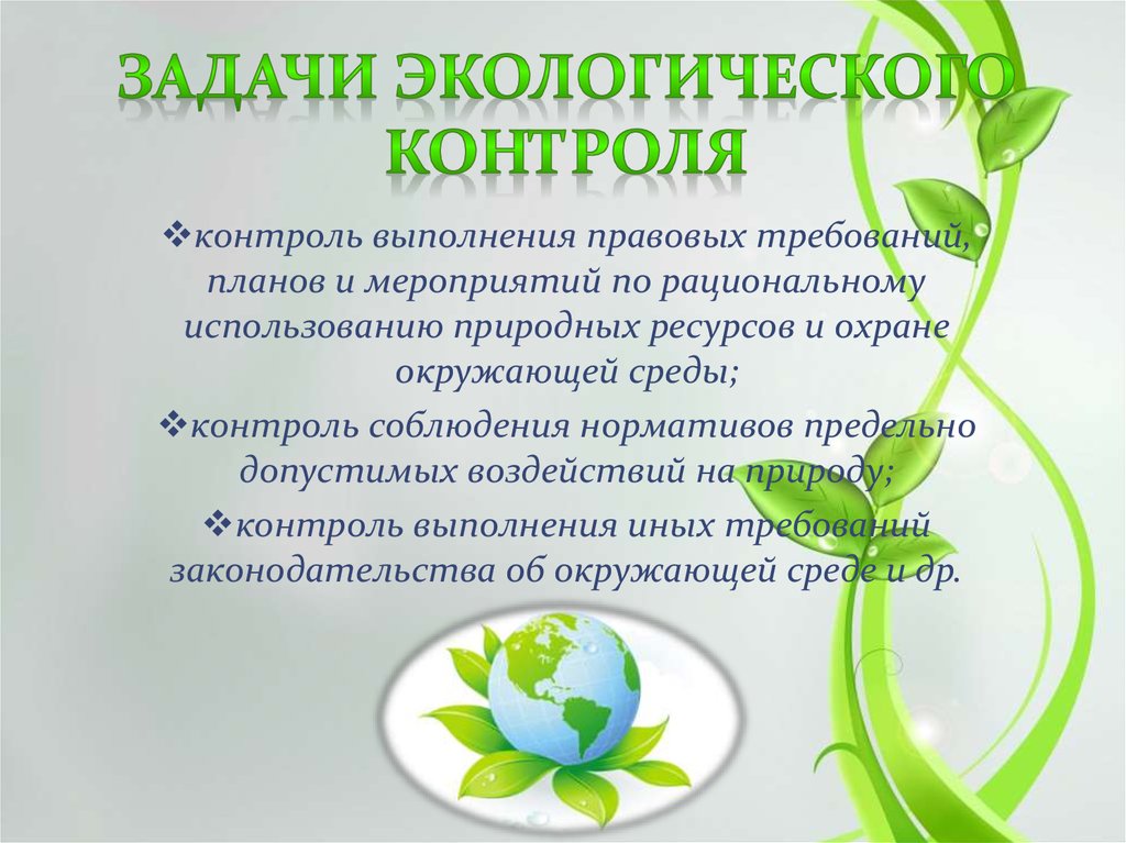 Государственный экологический контроль презентация