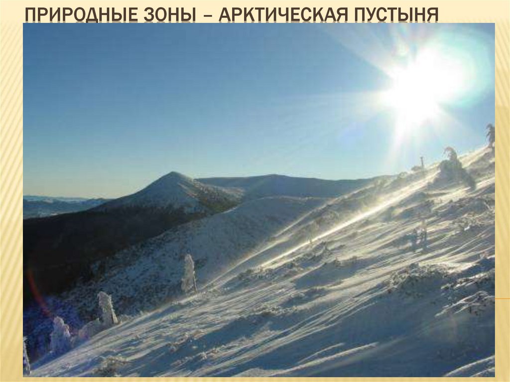 Природной зоне арктических пустынь