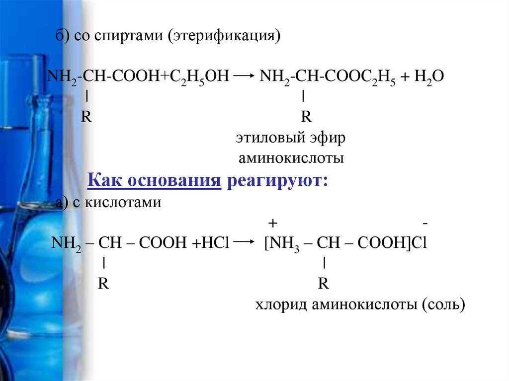 Аланин c2h5oh. Взаимодействие аминокислот с nh3. Взаимодействие аминокислот со спиртами. Аминокислоты с кислотами. Этерификация аминокислот.