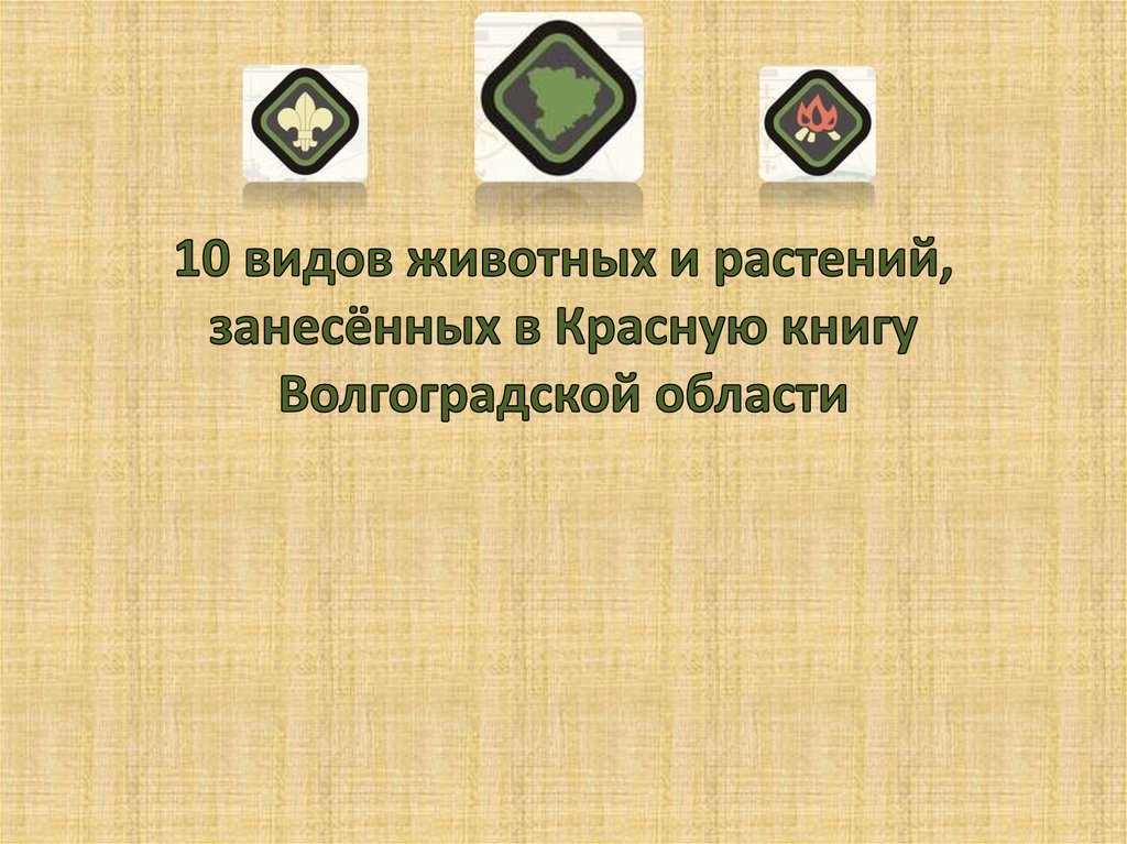 10 видов животных и растений, занесённых в Красную книгу Волгоградской области