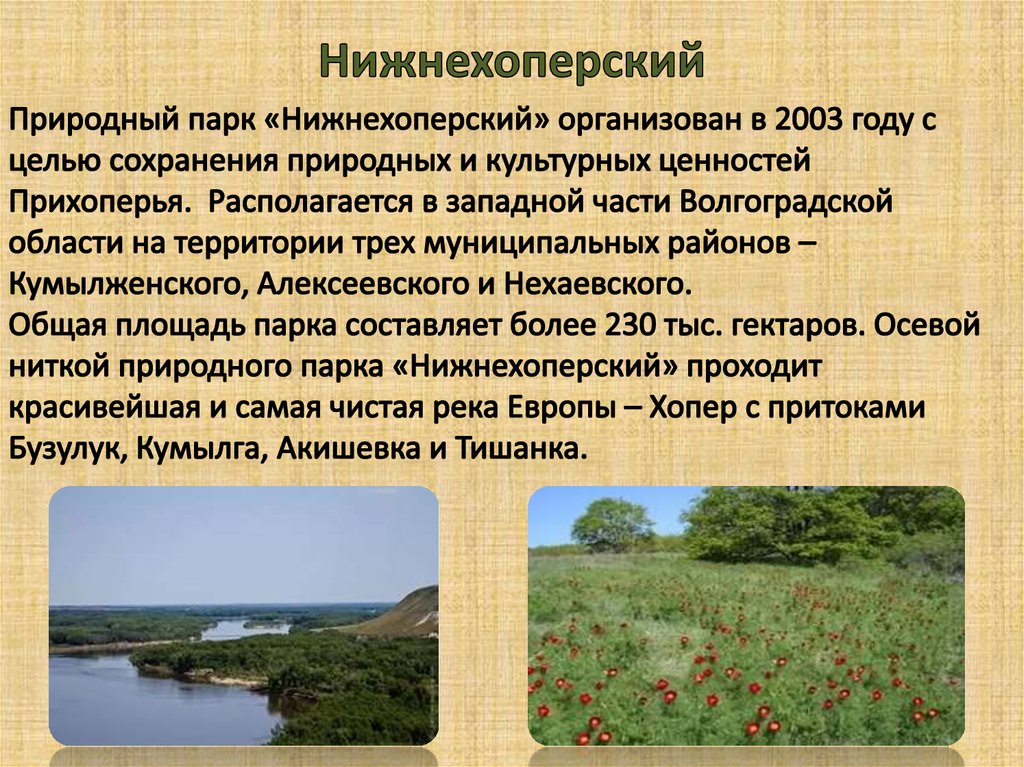 Заповедники и национальные парки ростовской области презентация