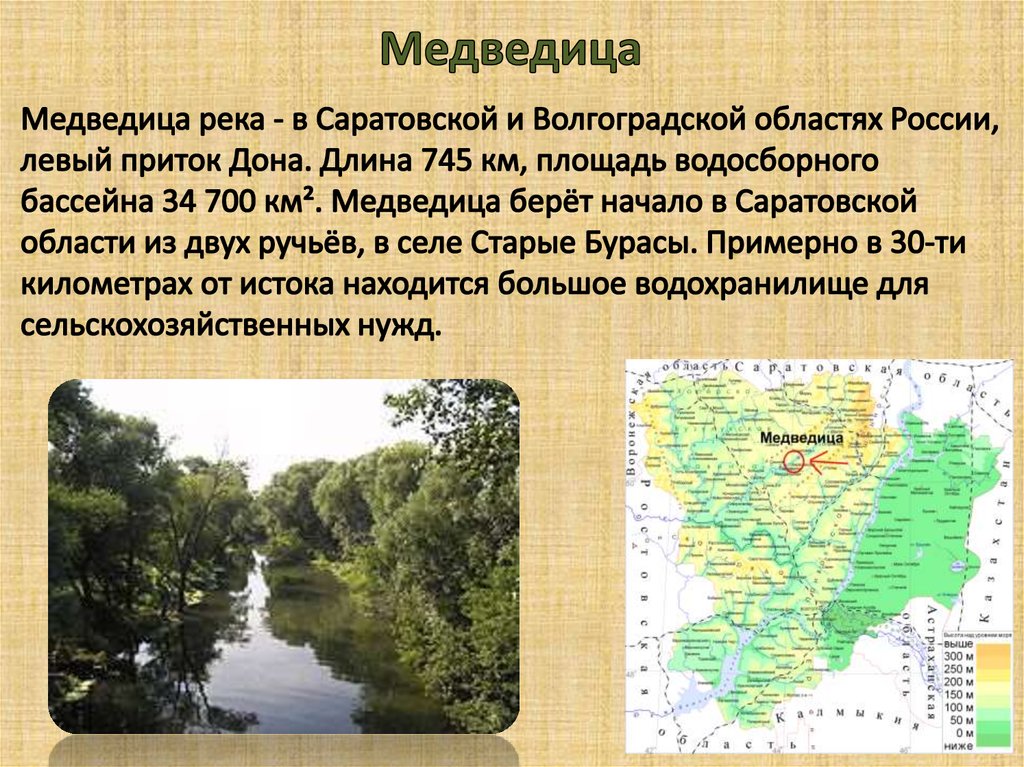 Волгоградская область 4 класс. Река Медведица Волгоградская область на карте. Исток реки Медведица Волгоградская область. Куда впадает река Медведица в Саратовской области. Река Медведица на карте России.