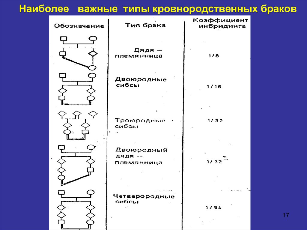 Наиболее важным видом. Кровнородственные браки генетика. Кровнородственный брак обозначение. Кровнородственный брак схема. Заболевания от кровнородственных браков.