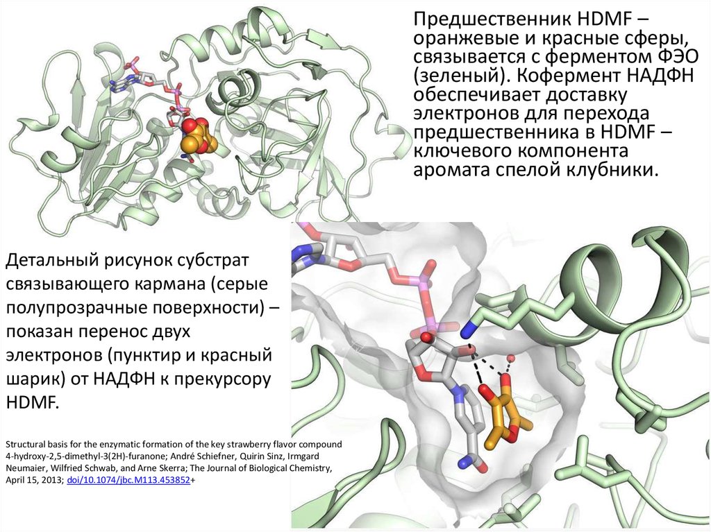 Молекулярный уровень компоненты. Тромбоз молекулярный уровень схема. Тромболизис на молекулярном уровне схема. Тромболизис на молекулярном уровне. Схема тромболизиса на молекулярном уровне.