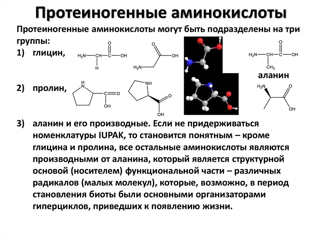Химические элементы аминокислот. Протеиногенные аминокислоты формулы структурные. Протеиногенные аминокислоты формулы. Протеиногенные аминокислоты классификация. Структурные формулы протеиногенных аминокислот.