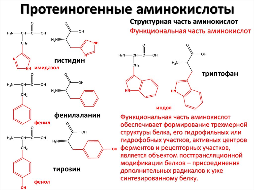 Процессы происходящие на молекулярном уровне жизни