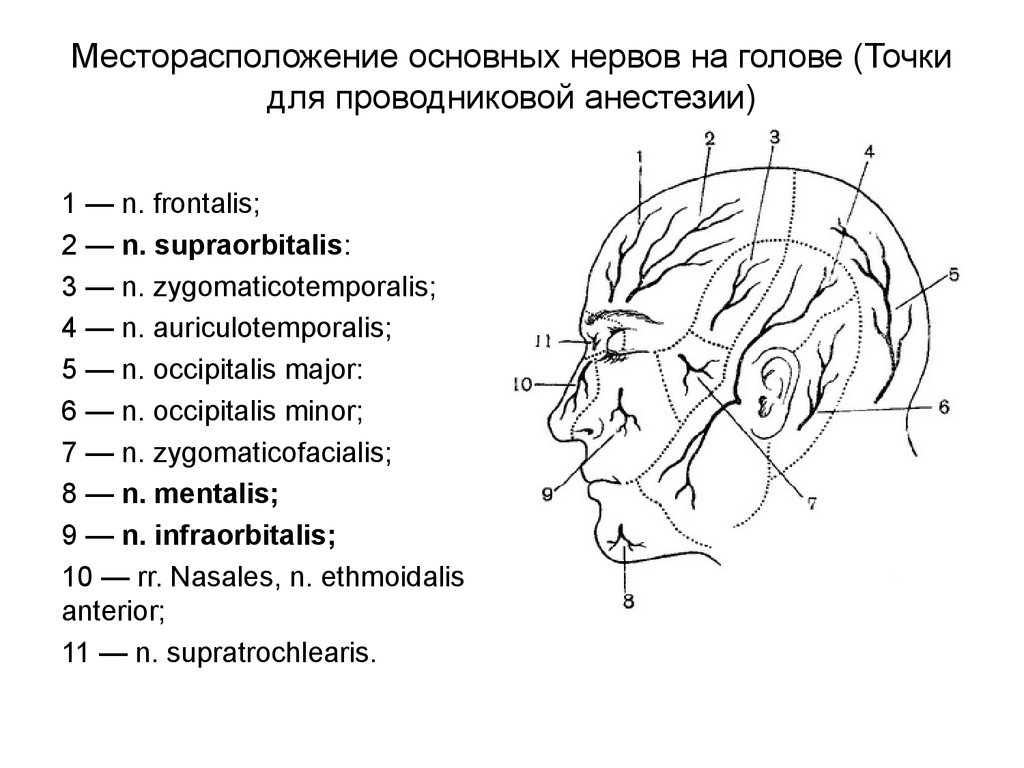 Лицевой нерв череп. Иннервация затылочного нерва схема. Иннервация кожи головы анатомия. Тройничный нерв анатомия схема. Проекции блокады тройничного нерва.