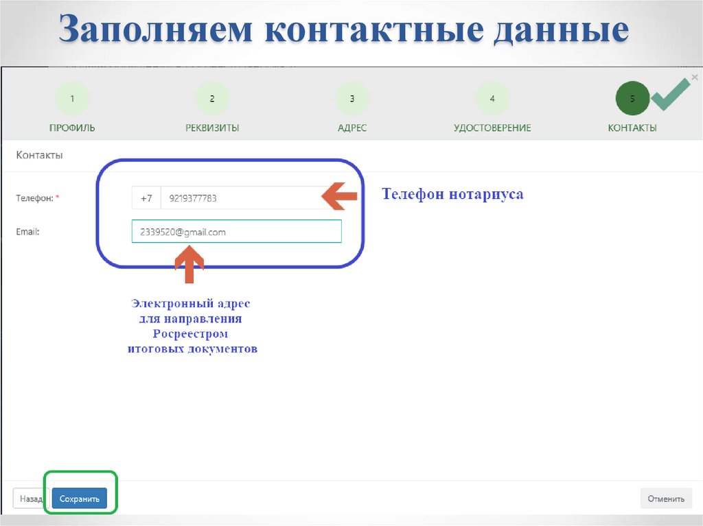 Контактные данные в презентации