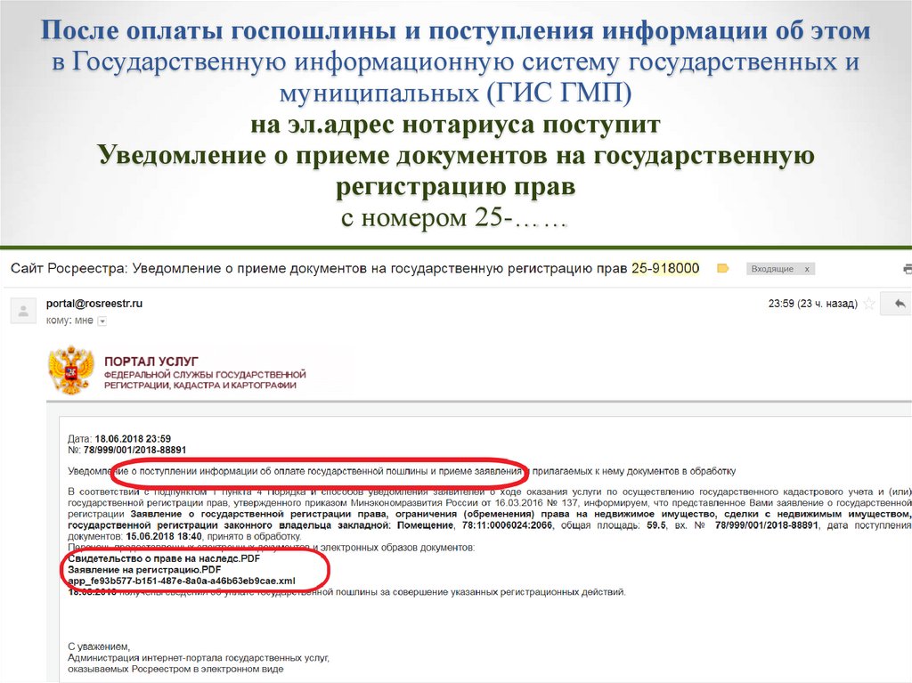 Госпошлина право собственности на земельный участок. Приказ об оплате госпошлины. Росреестр оплата госпошлины за регистрацию права. Госпошлина Росреестр. Прием документов на государственную регистрацию.