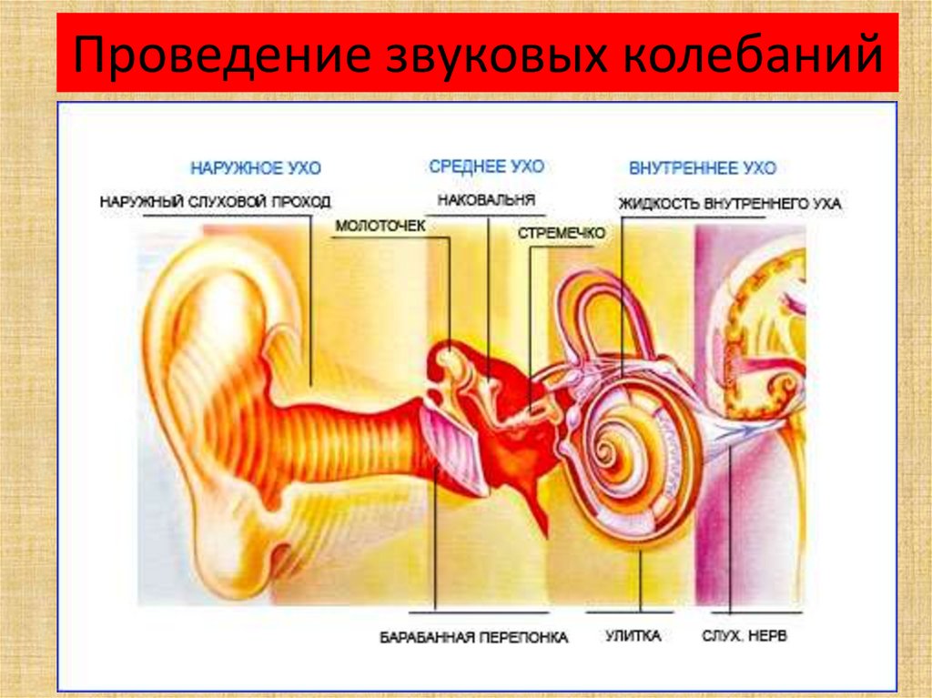 Схема передачи звука