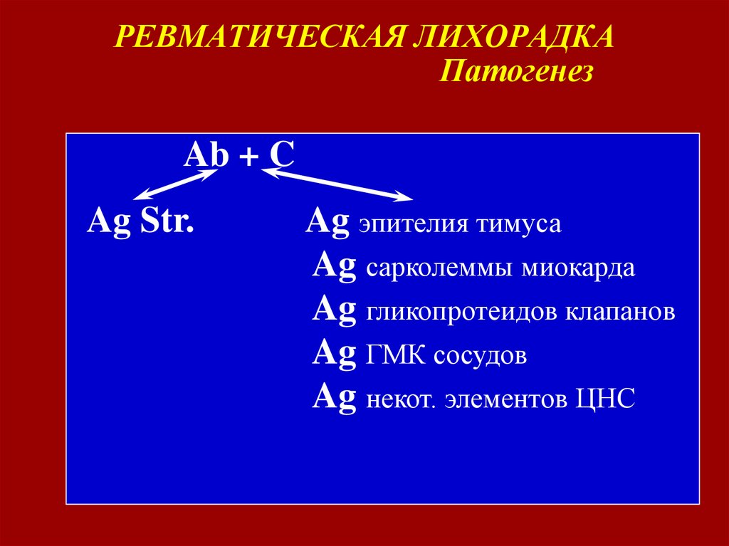 РЕВМАТИЧЕСКАЯ ЛИХОРАДКА Патогенез